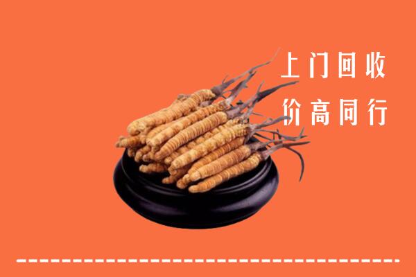 高价求购：通川区回收散虫草